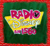 back of radio disney costume